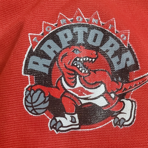 2010 Toronto Raptors Vintage Logo Basketball Teddy Bear NWT 15 inch - Picture 8 of 9